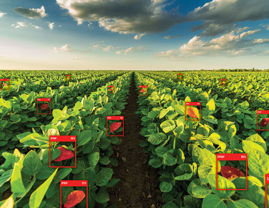 Farming gets smarter with ‘AI at the edge’
