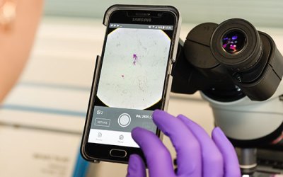 Harnessing AI to address global health challenges