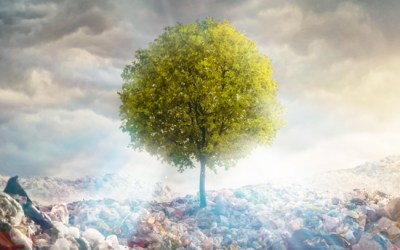 Cambridge Consultants partners with Hitachi Central Research Laboratory to address the global challenge of plastic waste