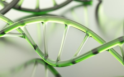 Champions of Cell and Gene Therapy – The Medicine Maker