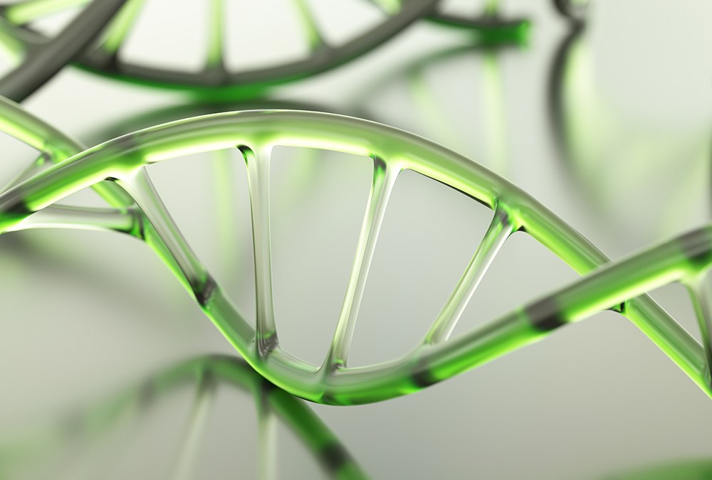 Champions of Cell and Gene Therapy – The Medicine Maker