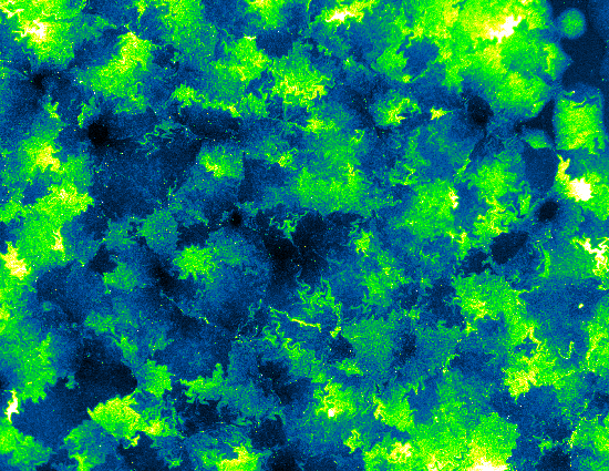 Bioprocessing scale-down models | Cambridge Consultants