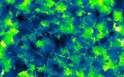 Creating robust bioprocessing scale-down models