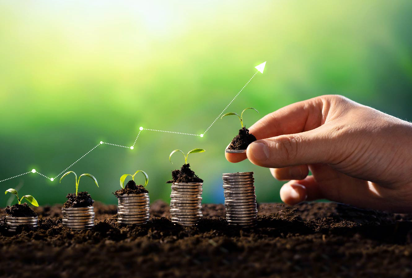 Collaborating with Yard Stick on carbon capture measurement | Cambridge ...