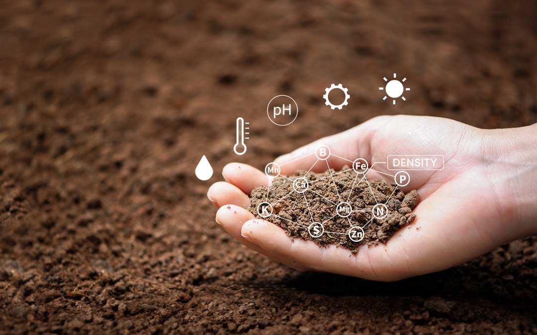 Collaborating with Yard Stick on carbon capture measurement