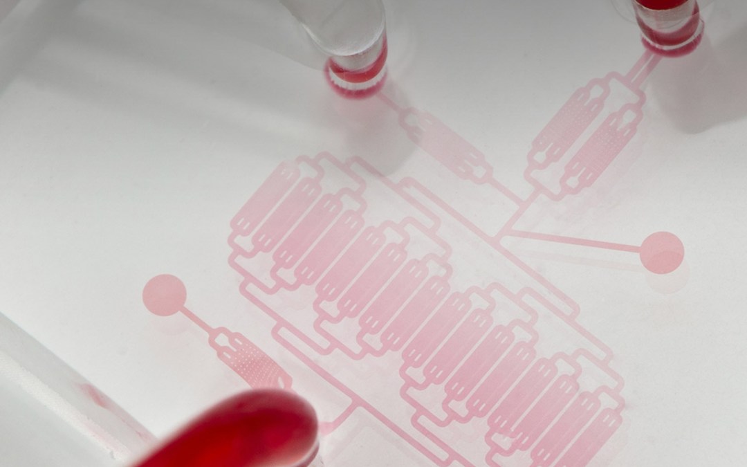 Automated liquid biopsy enrichment for Clearbridge BioMedics