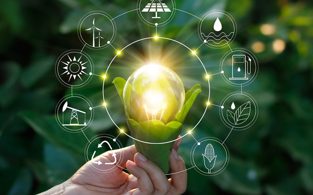 Sustainability innovation for major Japanese brands