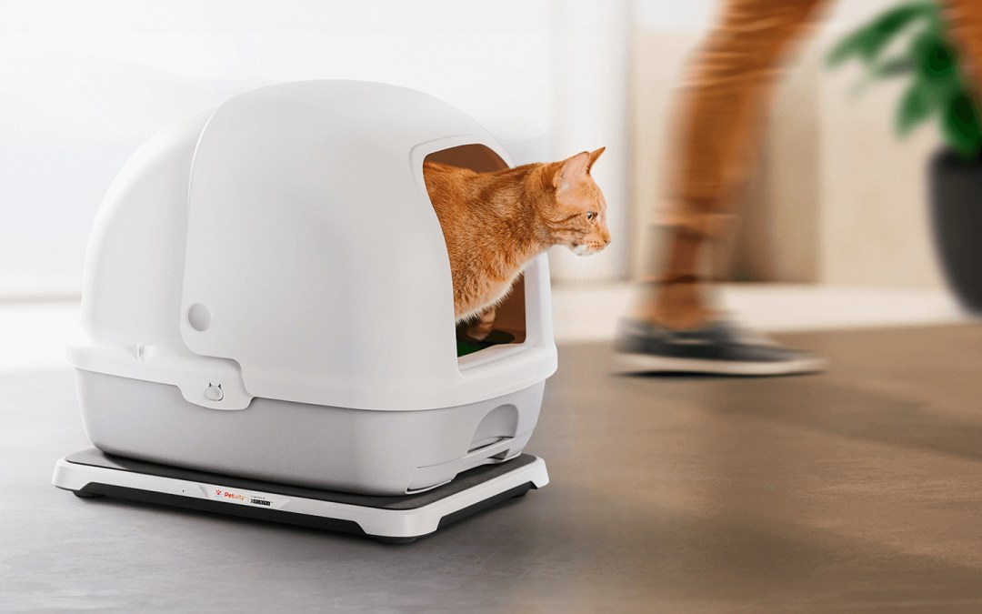 AI pet care transformation for Purina