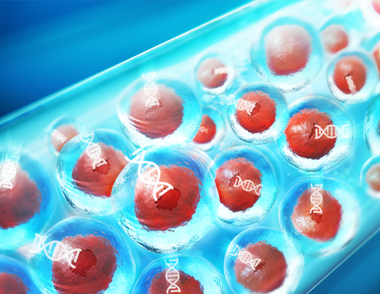 Rapid discovery and manufacture of next-generation cell therapies