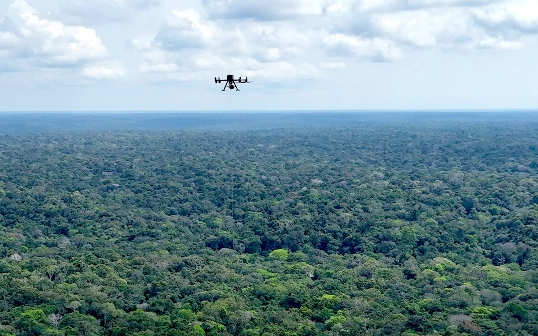 Applying AI assurance to support rainforest biodiversity for XPRIZE