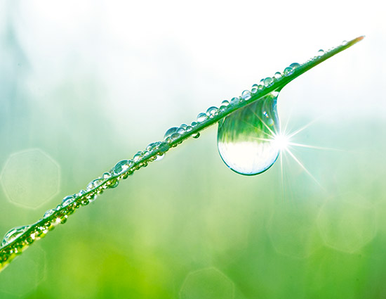 Biological product adoption: Overcoming biological barriers
