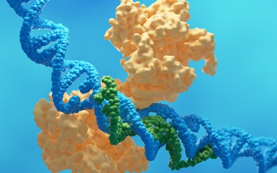 Unlocking the potential of IP-free gene editing to gain commercial advantage