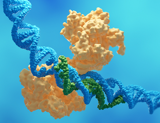 Unlocking the potential of IP-free gene editing to gain commercial advantage
