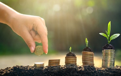 Rebuilding the bio-economy: Japan’s green future