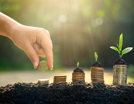 Rebuilding the bio-economy: Japan’s green future