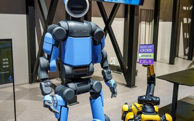 I sing the body electric