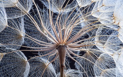 From risk to resilience: bridging the ‘missing middle’ in climate technologies