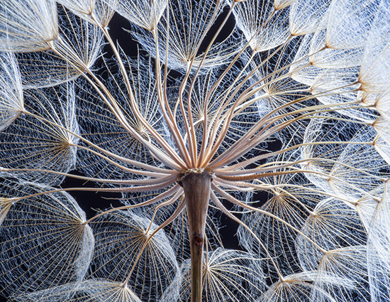 From risk to resilience: bridging the ‘missing middle’ in energy transition